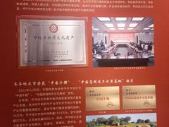 -齐齐哈尔市博物馆