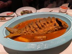 -阿五黄河大鲤鱼(英协路店)