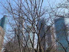 -西北湖绿化广场