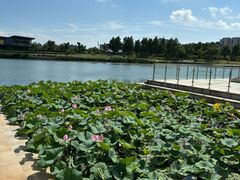 -上海中国航海博物馆