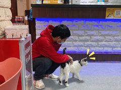 -CLUE演绎实景剧本杀(江南西店)
