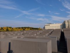 -欧洲被害犹太人纪念碑