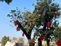 -长洲岛都市农业公园