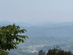-天目山大树王景区