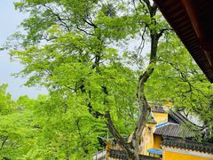 -涂山寺素食餐厅