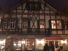 -Old Swiss House