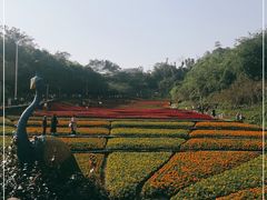 -艾坪山公园