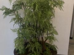-浅深(世茂滨江精品店)