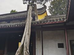 -太平天国侍王府