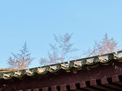 -法门文化景区