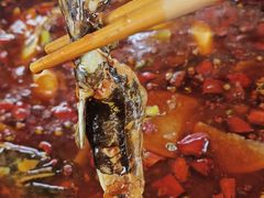 -繁毅农庄