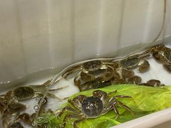-七星龙虾城·海鲜·大闸蟹(吴江店)
