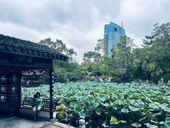 -无锡蠡湖国家湿地公园-蠡园