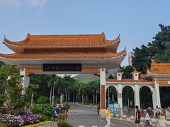 -深圳仙湖植物园