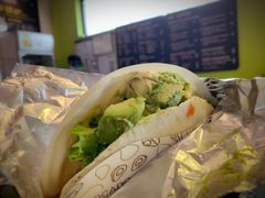 -油梨树AVOCADO TREE(顺义新国展店)