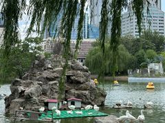 -团结湖公园
