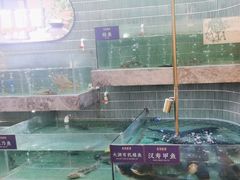 -鱼你相聚·河鲜馆(袁家岭店)