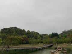-苏州清山会议中心