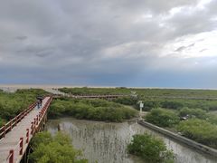 -北海金海湾红树林生态旅游区
