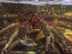 -蟹之国·精品蟹料理(极地店)