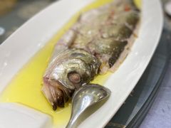 -金熙楼(熙南里店)