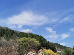 -北京西山国家森林公园