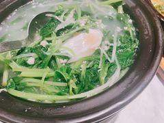 窝蛋时蔬-新蜀会四川豆花(五羊店)