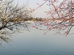 -颐和园