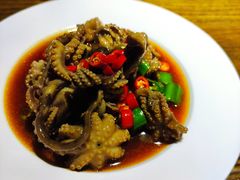 网红八爪鱼-锦上中式酒馆(南内环店)