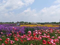 -江苏三台山国家森林公园