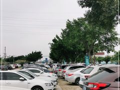-广州长隆飞鸟乐园
