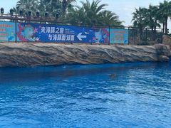 -华夏良子·足道SPA艾灸(翠微店)