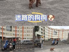 -上海市曹杨职业技术学校