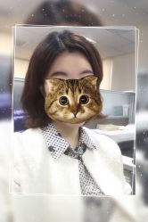 -镁连社·美联社