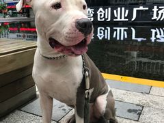 -深圳湾创业广场