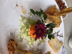 -港升鱼师傅·中山脆肉鲩