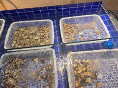 -铂丽斯国际大酒店-凯悦自助餐厅