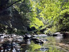 -夏霖九天银瀑风景区
