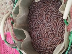 -北海金海湾红树林生态旅游区