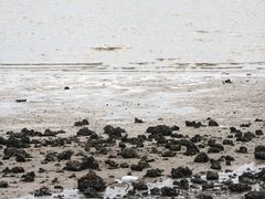 -深圳湾公园(南山区)