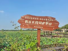-焦岗湖旅游度假区