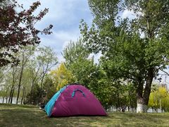 -长白岛森林公园