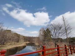 -东平国家森林公园