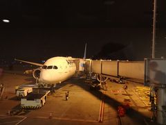 -波哥大埃尔多拉国际机场