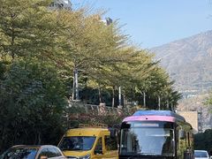 -攀枝花公园