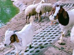 -东郊湿地公园