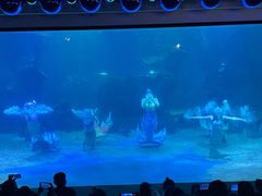 -石家庄海洋公园