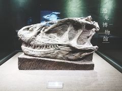 -自贡恐龙博物馆