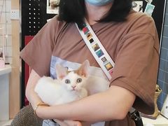 -十年猫舍·猫咪专门店(普陀店)