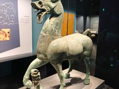 -广西壮族自治区博物馆